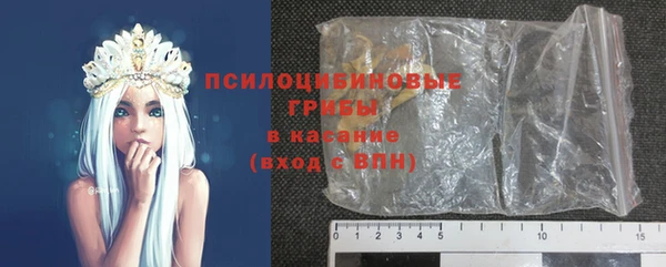 ГАЛЛЮЦИНОГЕННЫЕ ГРИБЫ Протвино
