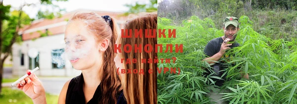 ГАЛЛЮЦИНОГЕННЫЕ ГРИБЫ Протвино