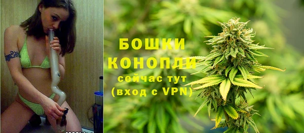 гидра Пролетарск