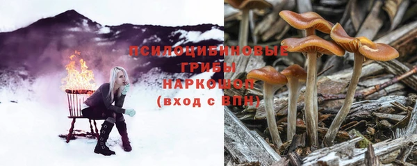 мдма Приозерск
