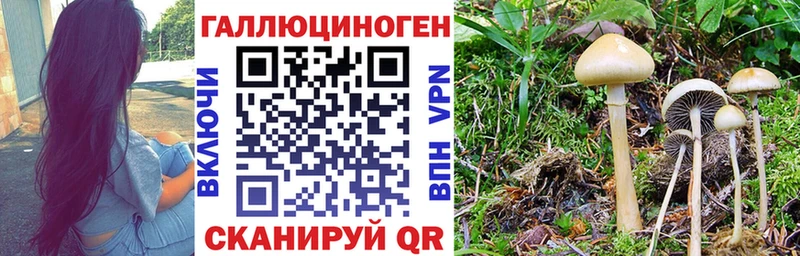Псилоцибиновые грибы Psilocybine cubensis  Бахчисарай 
