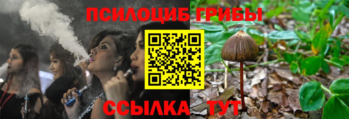 Бахчисарай  Псилоцибиновые грибы Psilocybe  Вход с VPN 